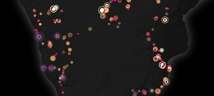 Wildtrip visualization screenshot